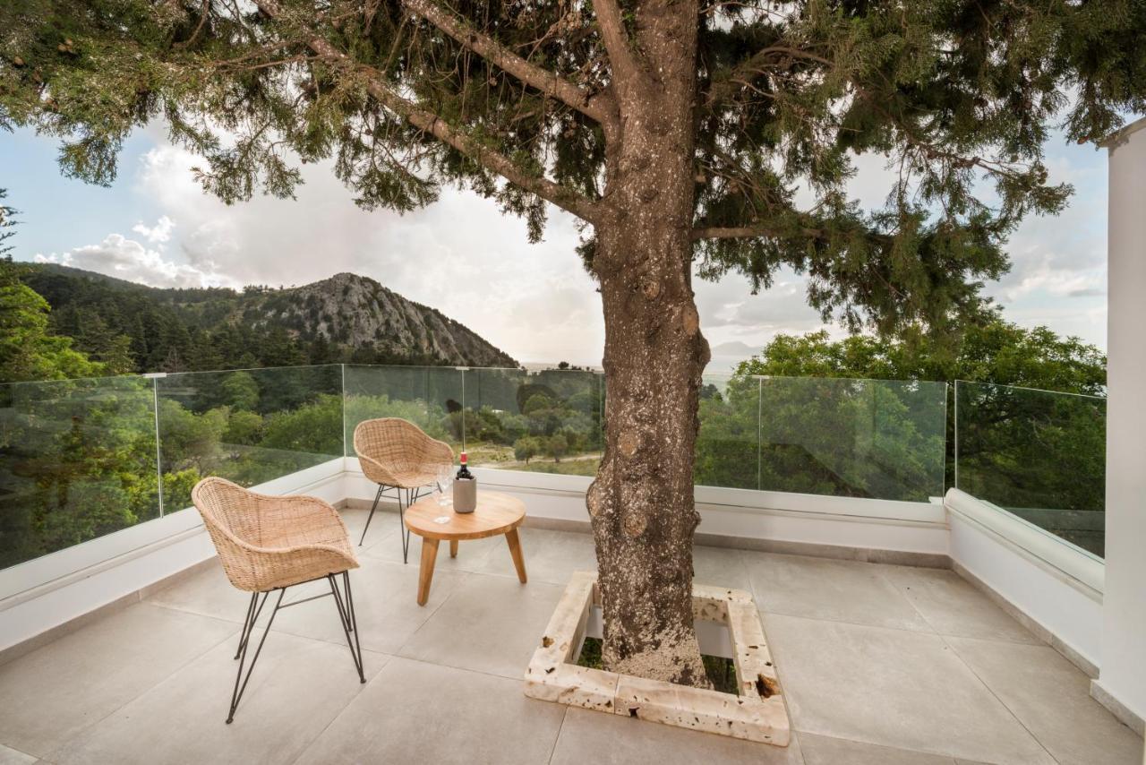 Forest View Villas 1 Lagoudi Zia Buitenkant foto