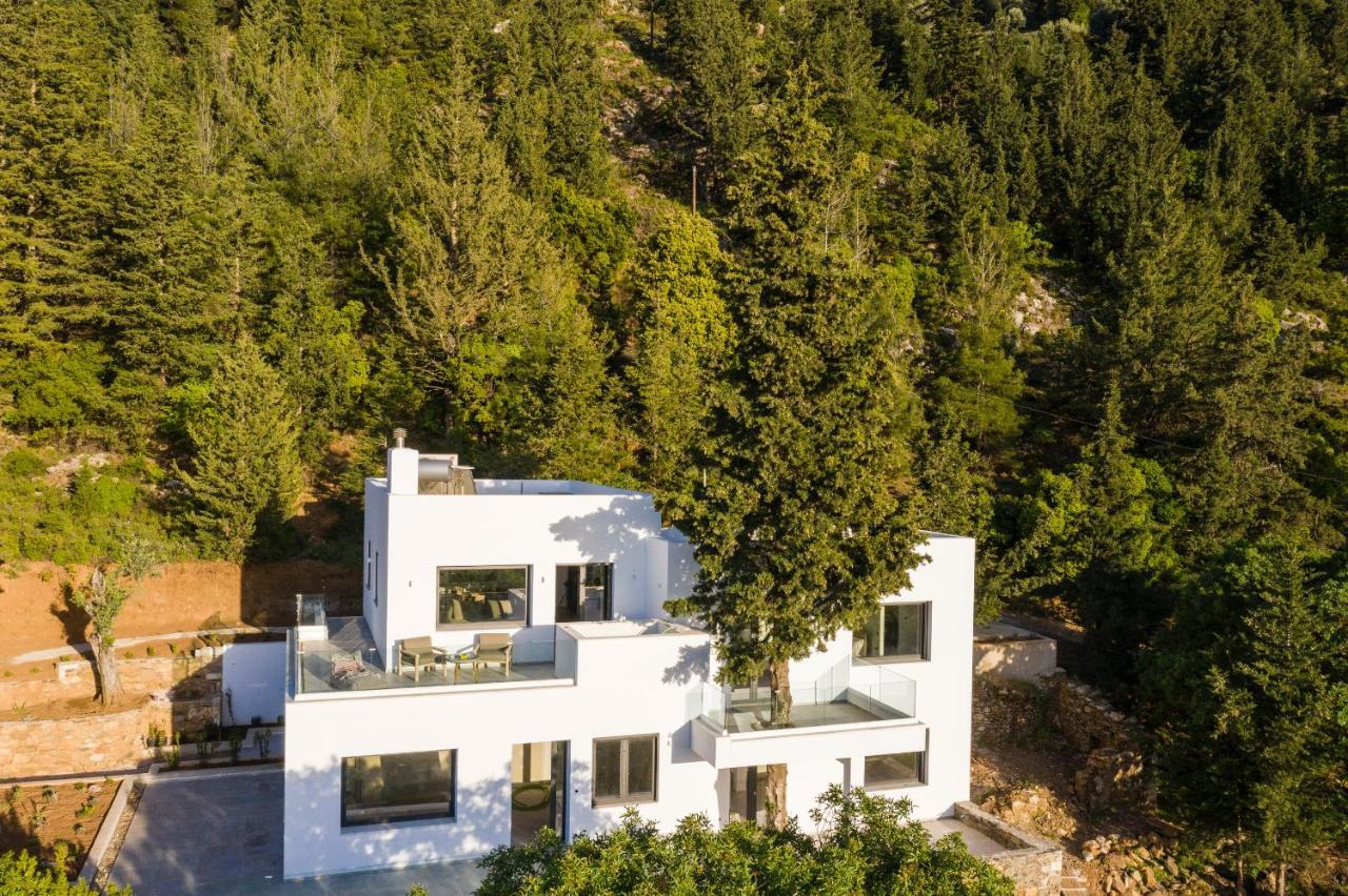 Forest View Villas 1 Lagoudi Zia Buitenkant foto