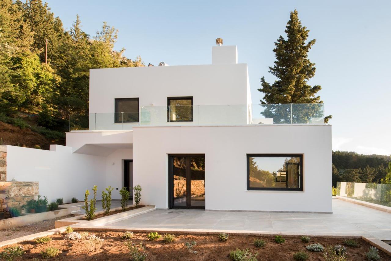 Forest View Villas 1 Lagoudi Zia Buitenkant foto